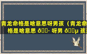 青龙命格是啥意思呀男孩（青龙命格是啥意思 🕷 呀男 🐵 孩还是女孩）